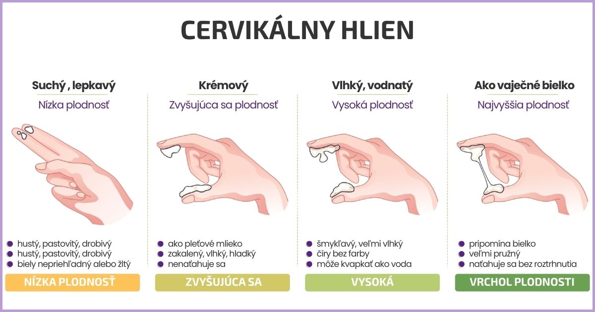 infografika znázorňujúca, ako spoznať plodný hlien